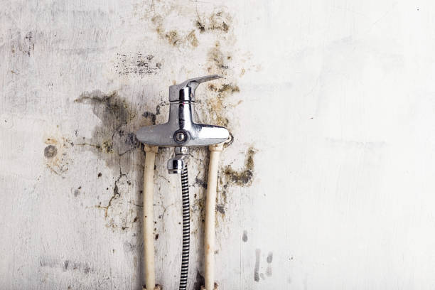 Best Emergency Mold Removal  in Lake Wazeecha, WI