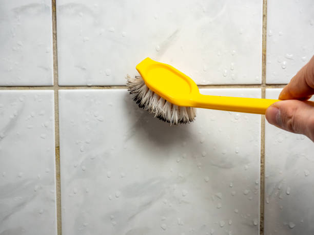 Lake Wazeecha, WI Mold Removal Company