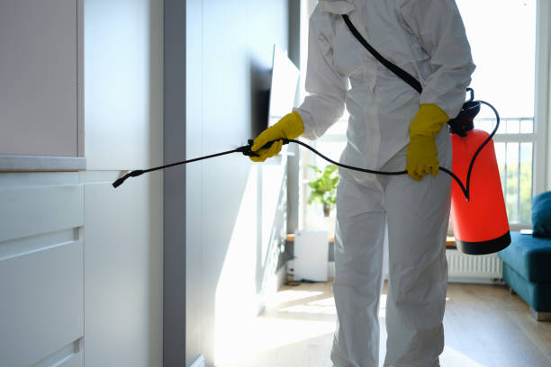 Best Black Mold Removal  in Lake Wazeecha, WI
