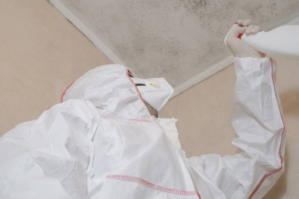 Best Emergency Mold Removal  in Lake Wazeecha, WI