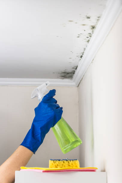 Best Residential Mold Removal  in Lake Wazeecha, WI